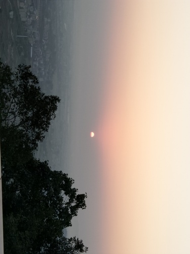 五华天云岭森林公园旅行图片 2