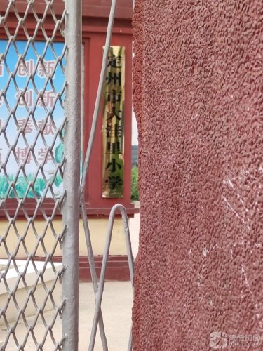 定州市大洼里小学