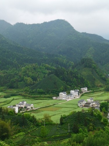 柯村风光观景台旅行图片 1