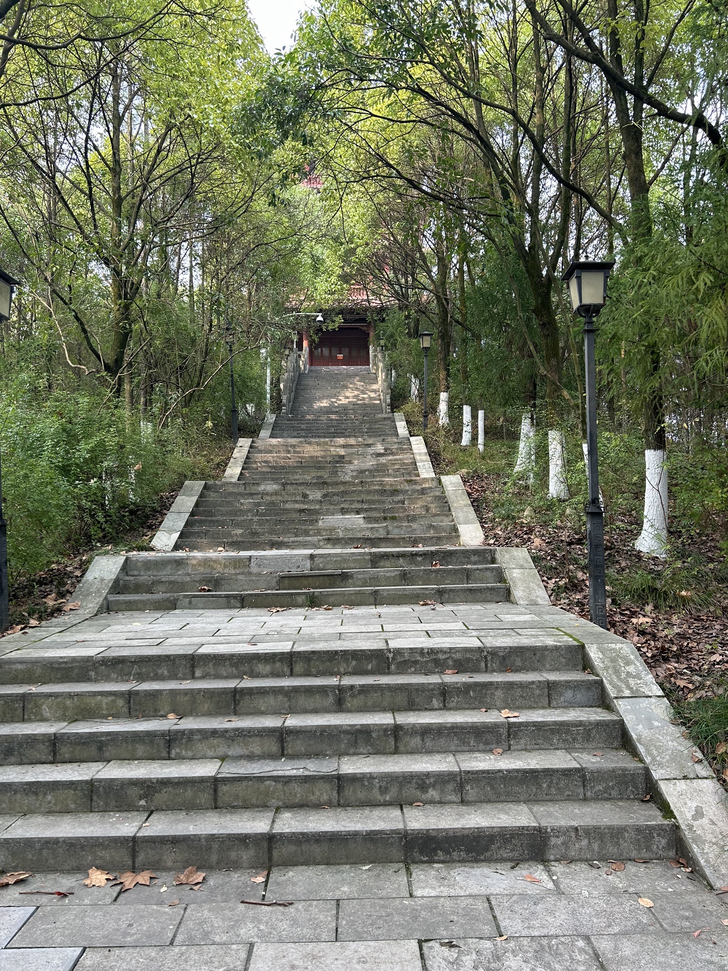 三阁公园-纯阳阁道观实景照片