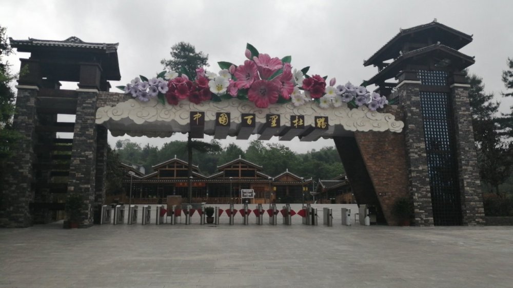 百里杜鹃金坡景区景点图片