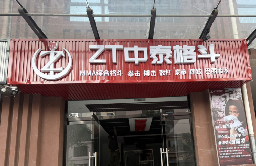 ZT中泰格斗