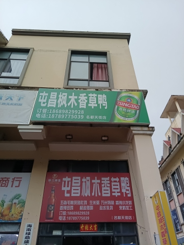 屯昌枫木香草鸭