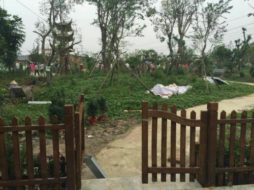 黄杨植物园旅行图片