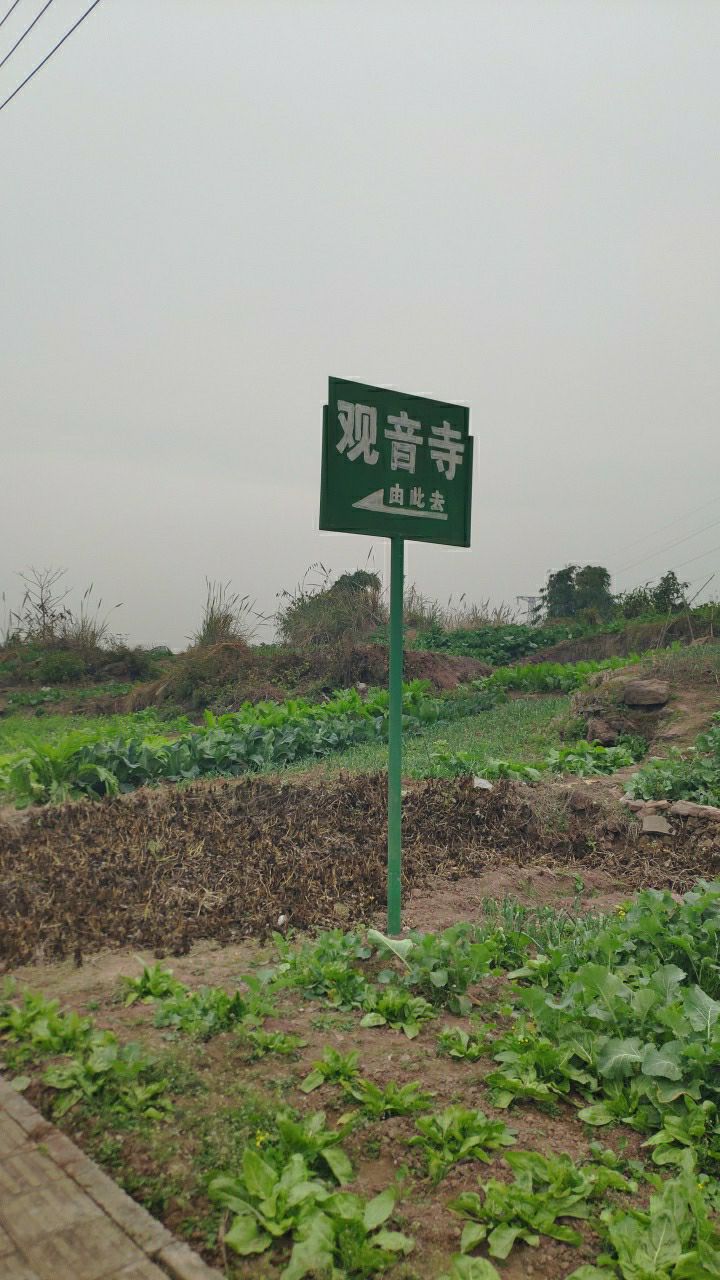 观音寺实景照片