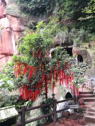 八仙山旅行图片 3