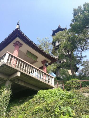 九龙山旅行图片 1