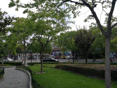 建德花园小公园旅行图片 3