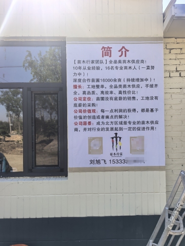 苗木行家团队后营办事处