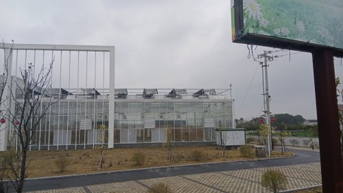 石门柑橘科技园实景图（3）
