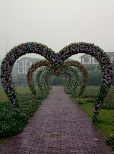 中国有机生活公园(建设中)旅行图片 2