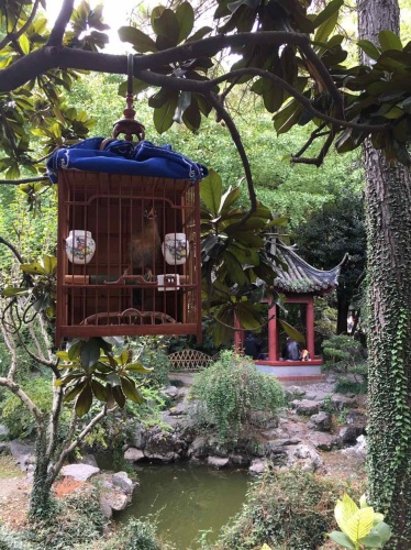 内江公园旅行图片 2