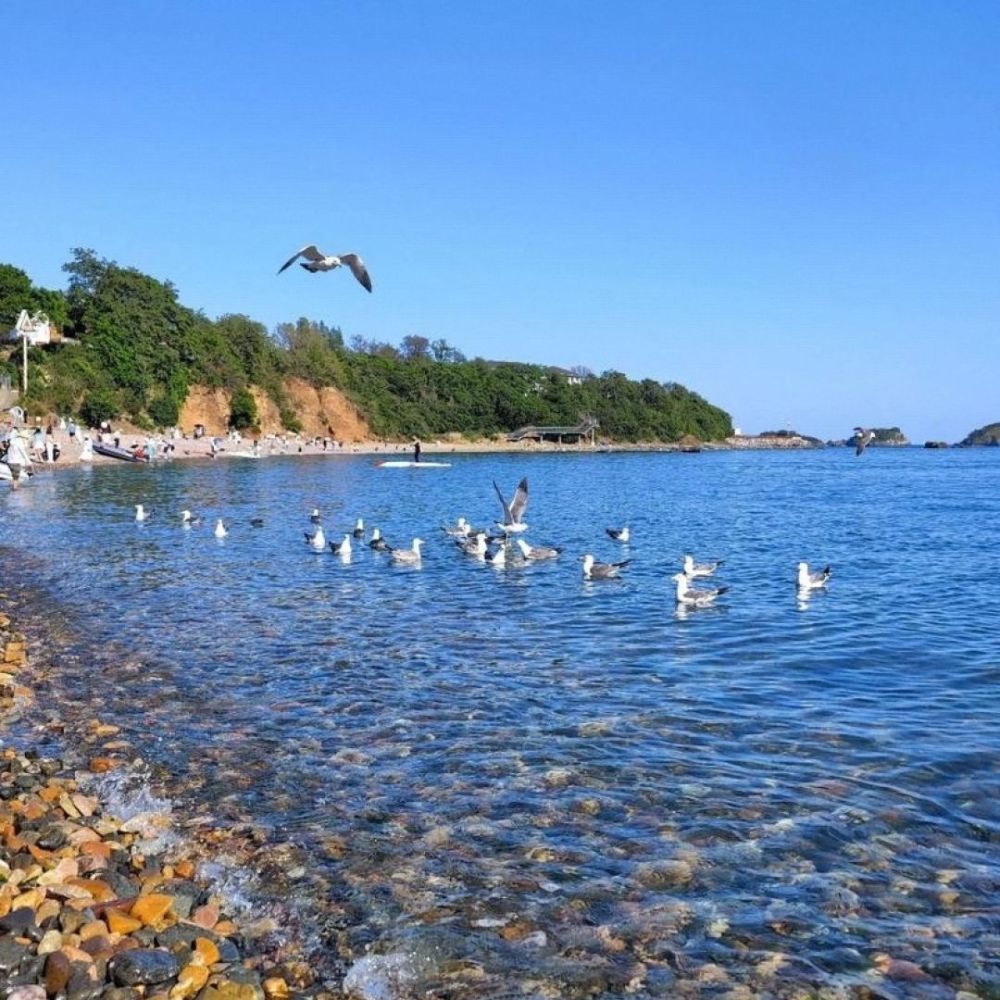 银沙滩公园景点图片