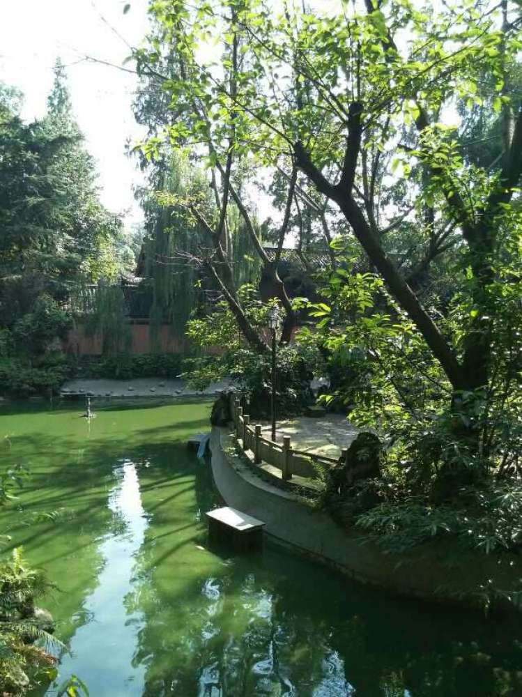 文殊院景点图片