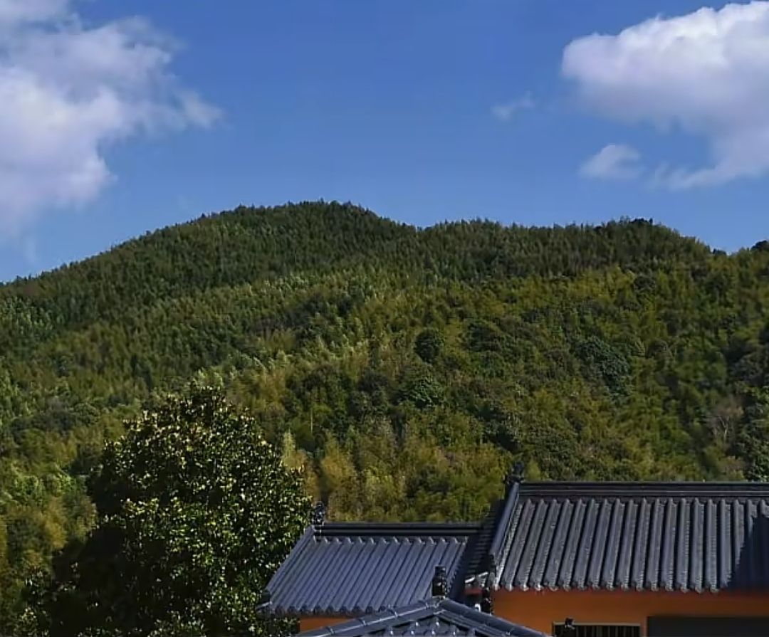 梅花禅寺实景照片