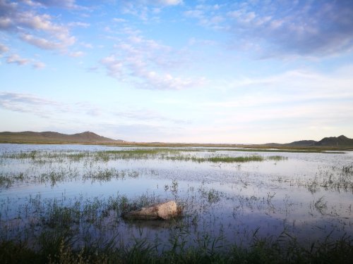 嘎达布其镇天然湿地景观旅行图片 3