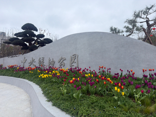 中央绿轴公园