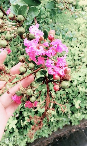 祥和公园旅行图片 3
