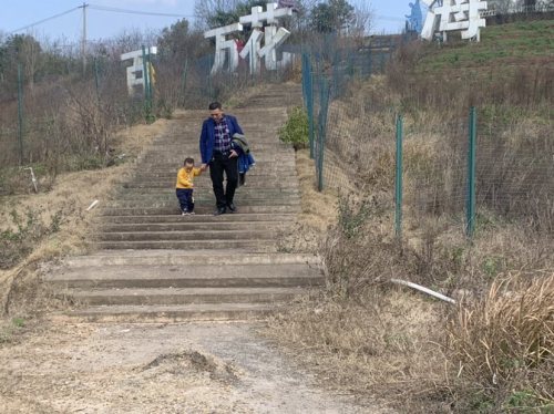 百万花海旅行图片 1