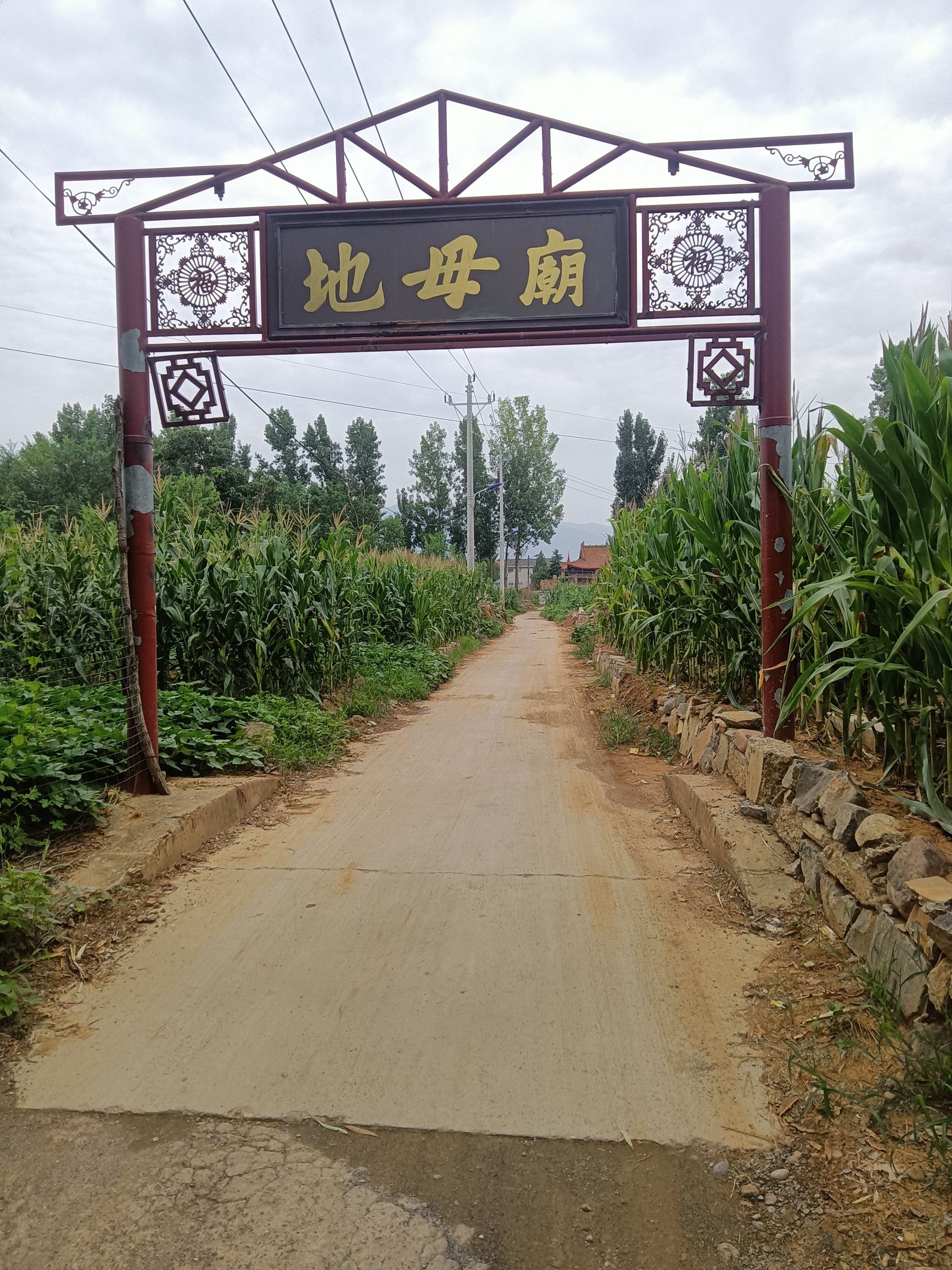 临淇村地母宫实景照片