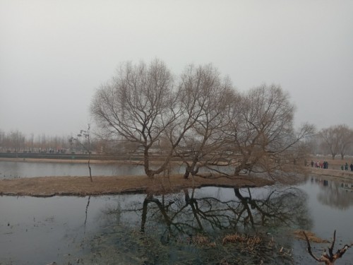鸡龙河湿地公园旅行图片 2