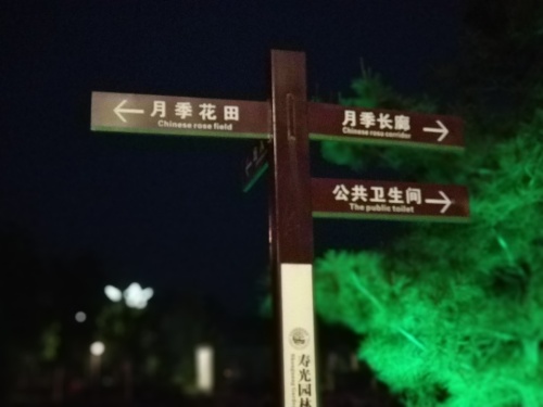 中国寿光月季园旅行图片 1