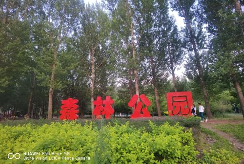新民市森林公园