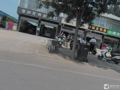 变色龙养护中心