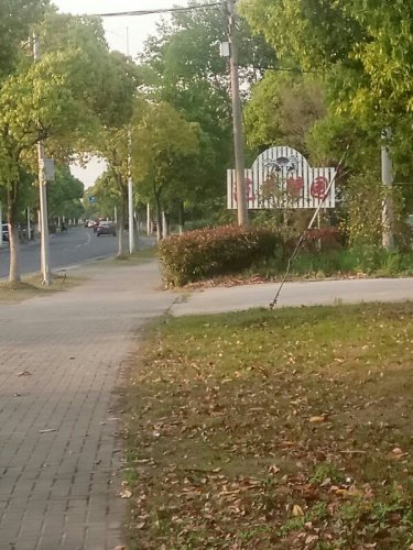 绰墩遗址旅行图片 1
