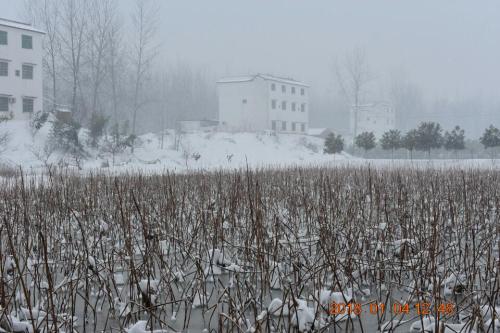白露河乡村旅游区旅行图片 1