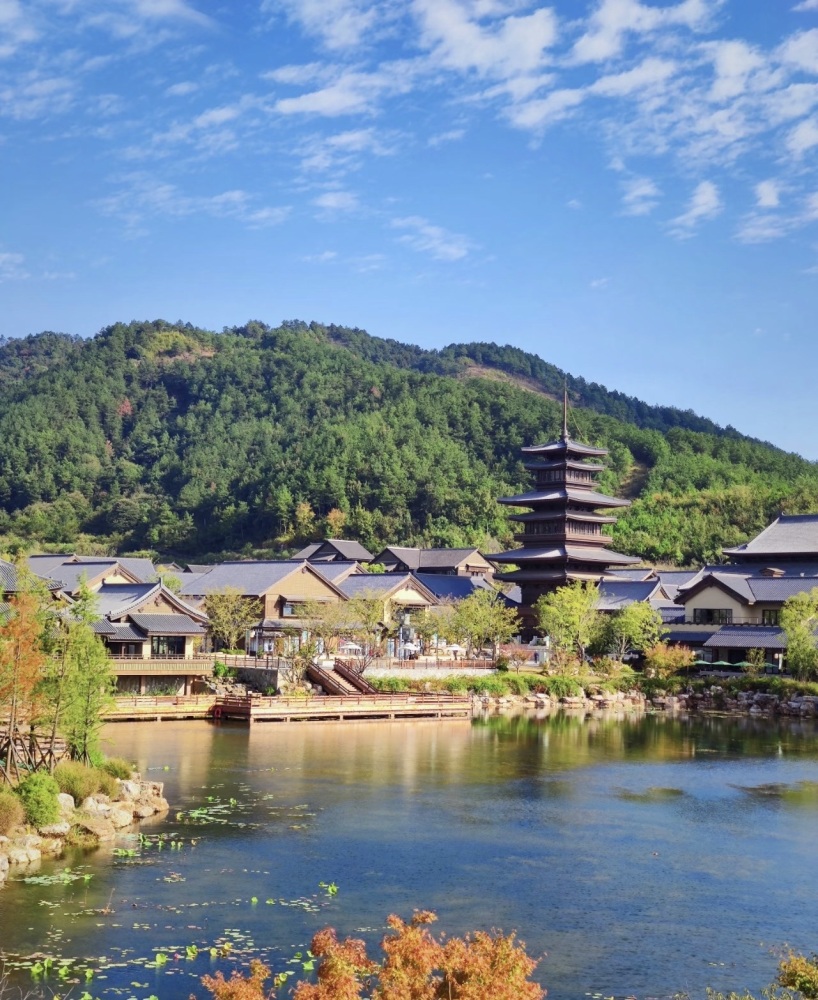 东山问梅村景点图片