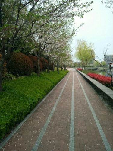 沁园湖绿地广场旅行图片 2