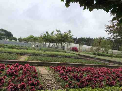 永记生态园旅行图片 3