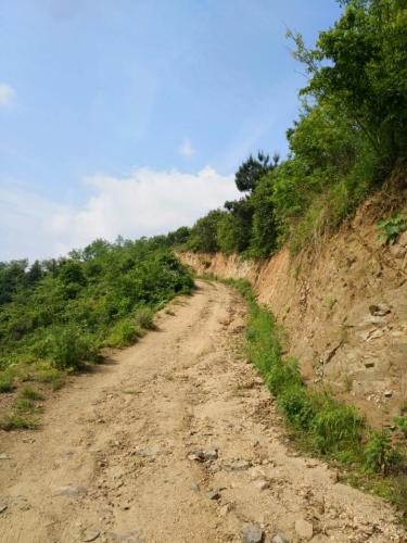 香山湖风景区(不对外开放)旅行图片 2
