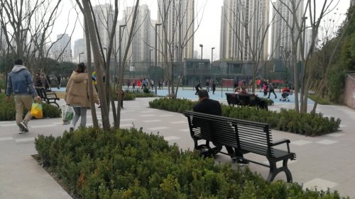 心湖北体育文化公园旅行图片 3