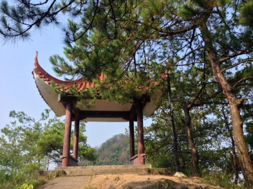 东山公园旅行图片 1