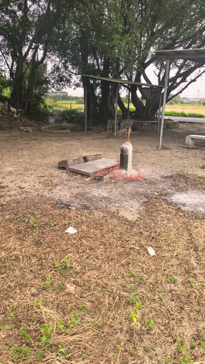 蛟南村梅冈山伯公宫实景照片