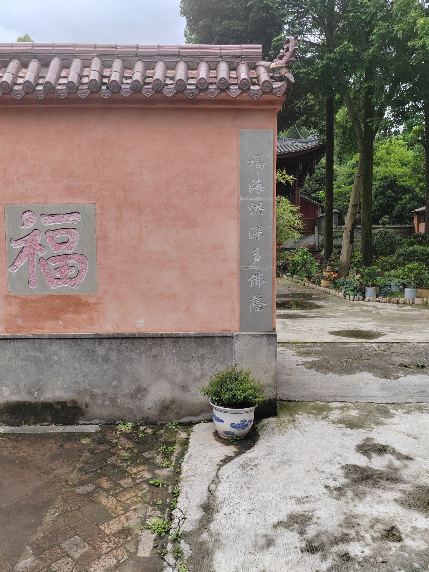定觉寺实景照片