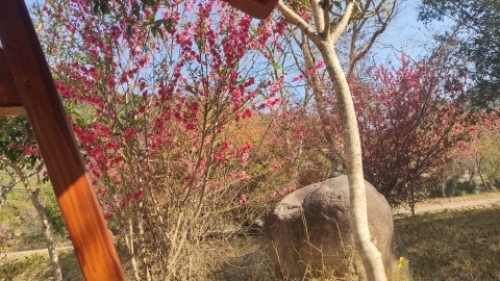 桃仙溪景区旅行图片