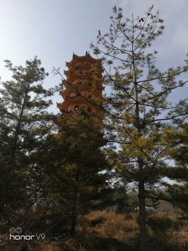 双龙湖湿地公园旅行图片 1