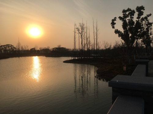 苏州市吴江区平望莺脰湖生态公园旅行图片 1
