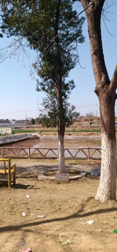 鄱阳湖国家旅游风景区-怡趣园旅行图片 1