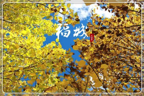 稻城县城旅行图片 3