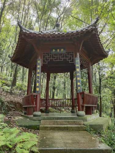 隆山公园旅行图片 3