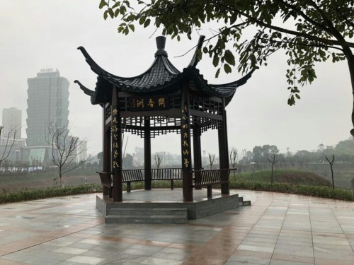 龙景湖公园旅行图片 3