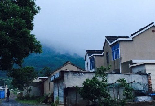 南京灵岩山市级森林公园旅行图片 3