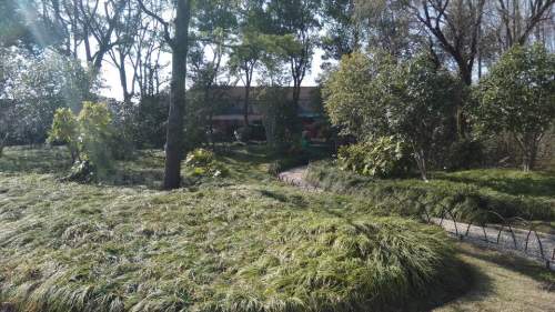建德花园小公园旅行图片 3