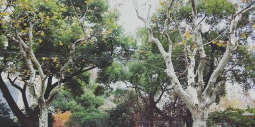 丹清河国家森林公园旅行图片 3