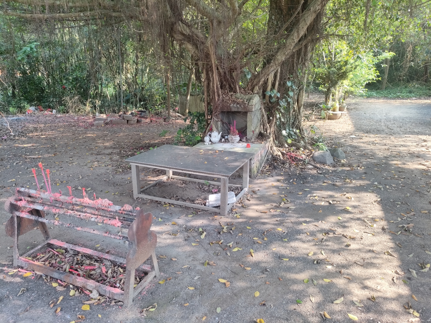 林沈村北府庙实景照片