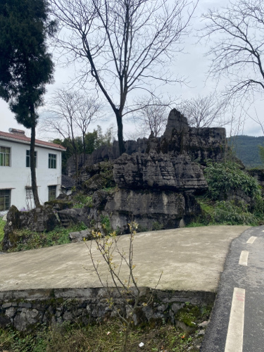 太安石林旅行图片 1